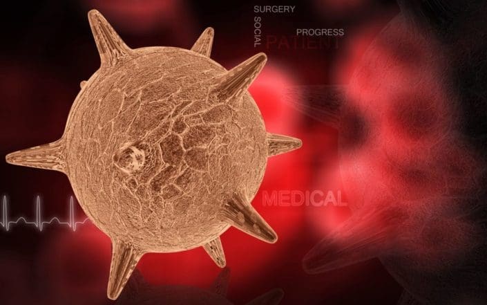digital illustration of the herpes virus