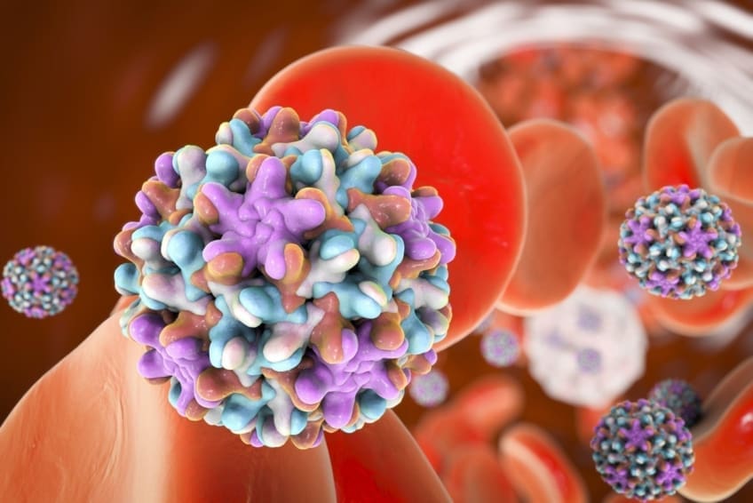 Hepatitis B (Hep B) - What is Hepatitis? | familydoctor.org