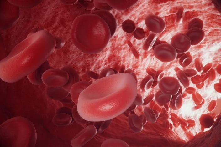 Illustration of red blood cells flowing through blood vessel