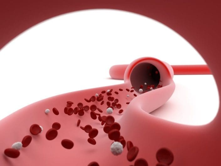 illustration of a blood vessel carrying blood cells