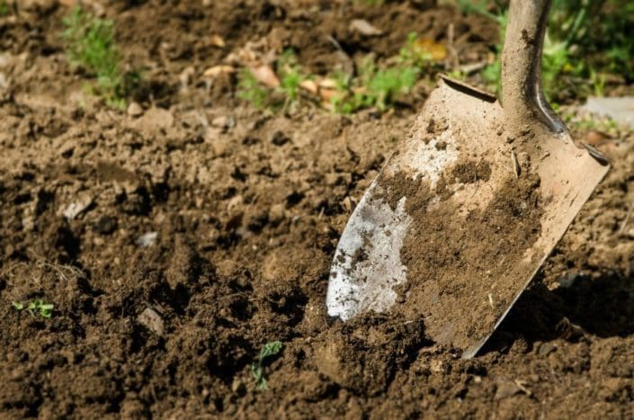 close-up of shovel in the soil