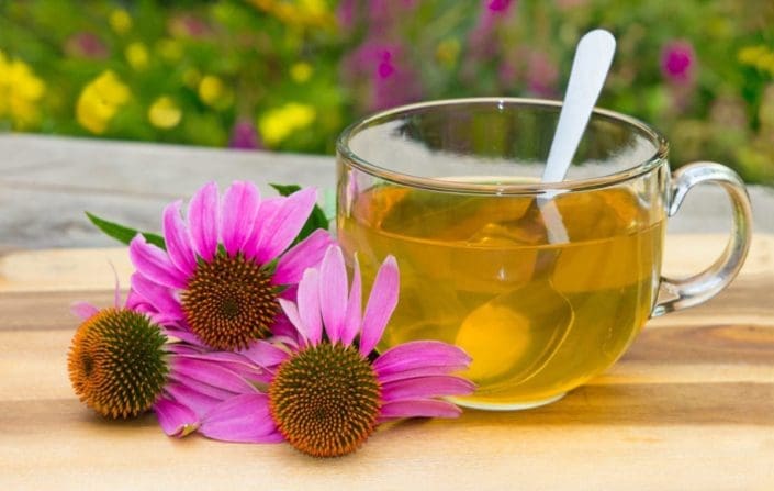 Image result for Take Echinacea