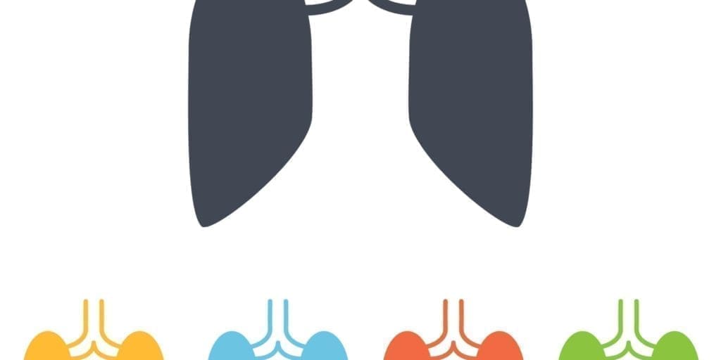 An illustration of lung shapes drawn in different colors