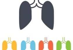 An illustration of lung shapes drawn in different colors