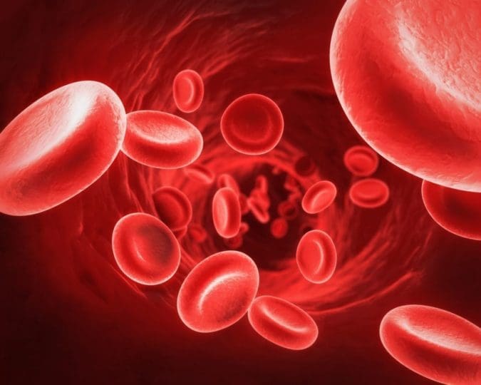 illustration of red blood cells in the bloodstream and Hemolytic uremic syndrome (HUS)