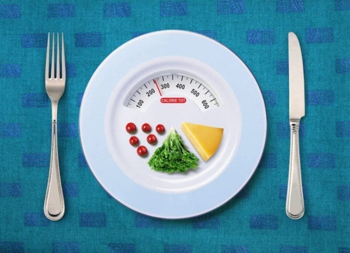 View of calorie totals of food on plate