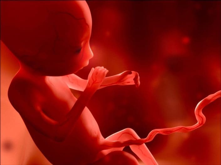 Medical illustration of fetus development at 4 months.