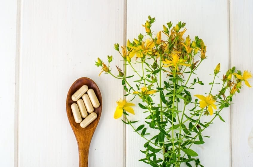 St. John's wort, herbal medical pills.