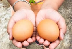 A child holds two farm-fresh eggs.