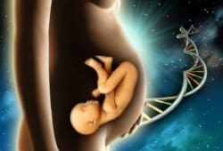 illustration of unborn baby in the womb with DNA strand in the background