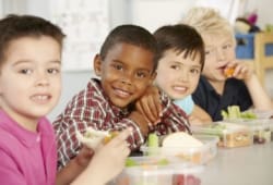 group of young children eating healthy lunches at school