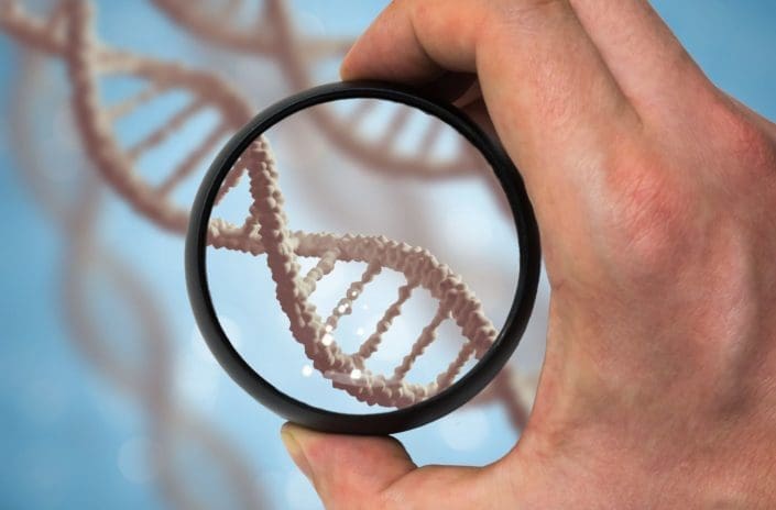 Hand holds a magnifying glass to look at DNA