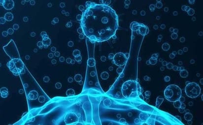 COVID-19 is a disease caused by a coronavirus called SARS-CoV-2, which was identified in 2019.