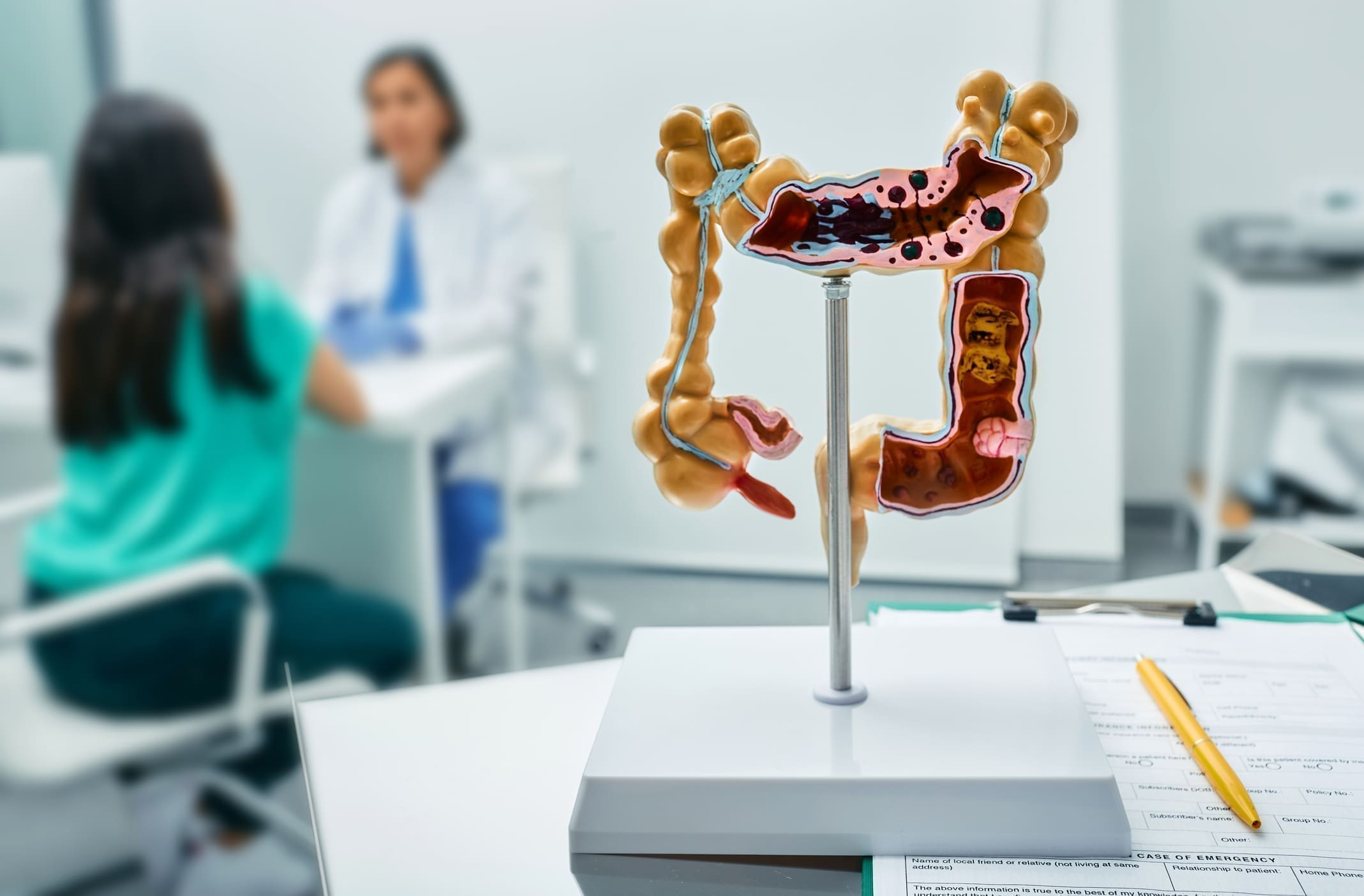A plastic model of intestines sits on a table in a doctor’s office where a patient is consulting with a doctor about her Crohn’s disease.