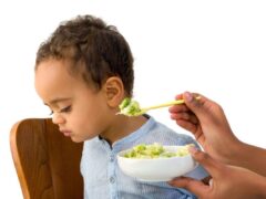 What To Do When Your Toddler Won’t Eat