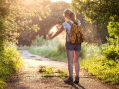 Insect-borne Diseases
