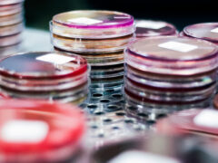 Auger Plates on metal cart