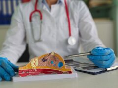 Female doctor explains disease and uses anatomical model of breast.